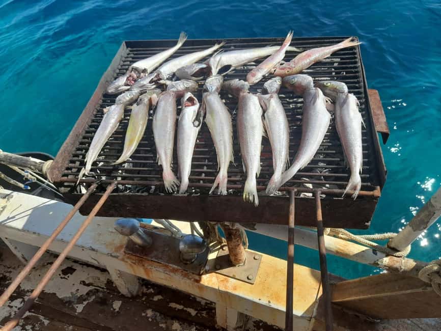 Zadar: Fishing Boat Trip with Lunch and Swimming Included - A real fishing day, not just a boat ride