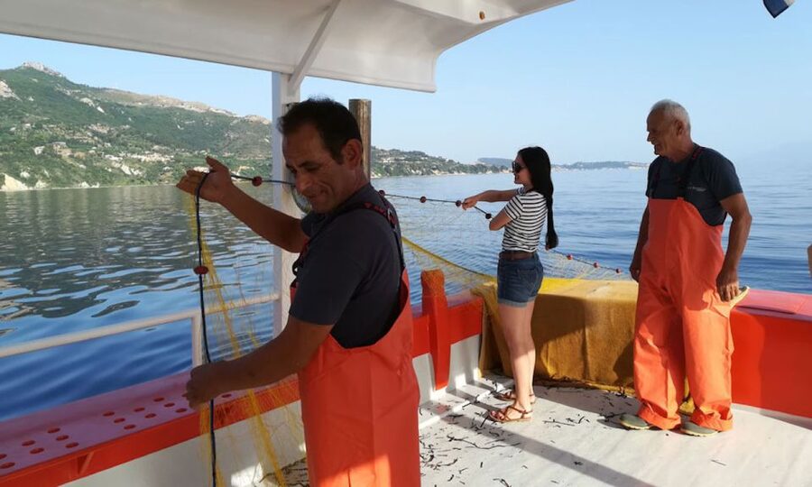 Zante Fishing Tours - Looking for turtles, dolphins, and seals