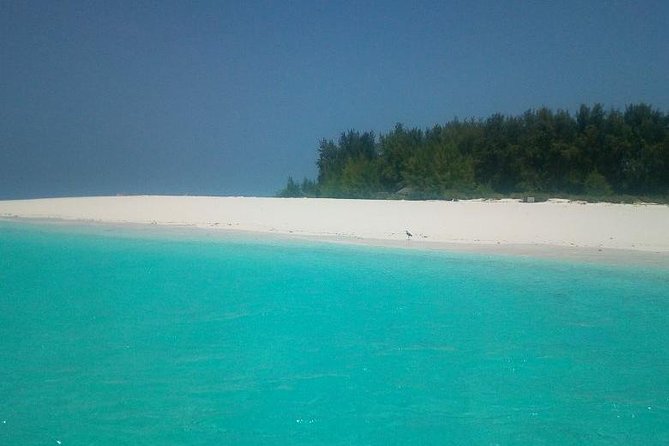 Zanzibar Deep Sea Fishing & Local fishing. - Fishing off Zanzibar’s north coast