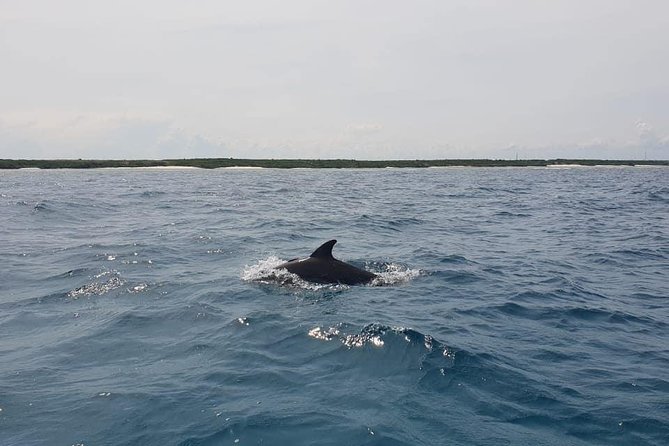 Zanzibar Deep Sea Fishing & Local fishing. - Timing, pickup, and cancellation