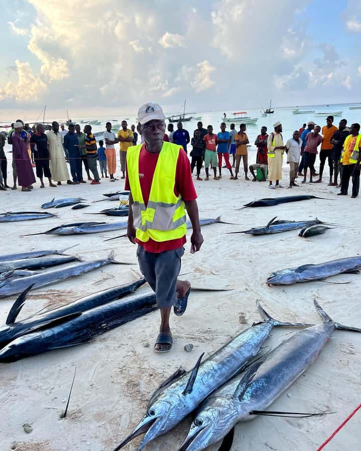 ZANZIBAR FISHING EXPRIENCE - Reef fishing after the offshore session